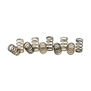 Front Springs .019"